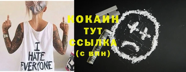 прущий лед Алексин