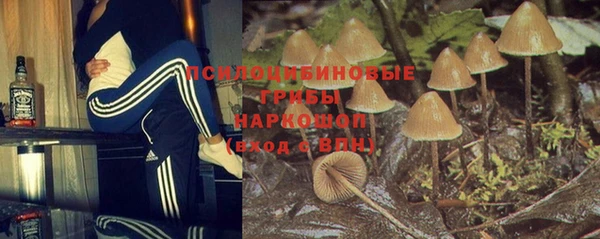 спиды Аркадак