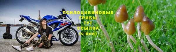 бутират Алзамай